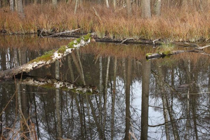 Krutyń, W. Perkowski