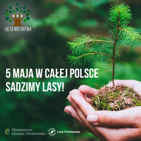 5 maja sadzimy w całej Polsce! Akcja Łączą nas drzewa