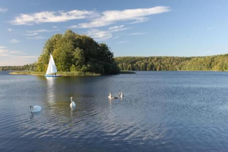 Nadleśnictwo Mrągowo