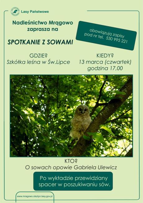 Spotkanie z sowami