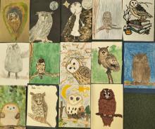 Co w lesie huczy? Już wiemy!